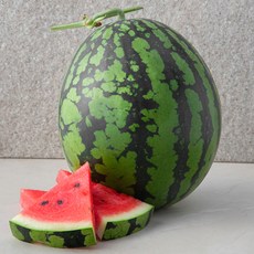 곰곰 유명산지 11.5 brix 수박, 10kg 미만, 1개 10kg 미만, 1개