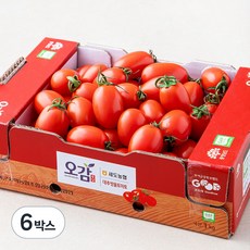 세도농협 GAP 인증 대추방울토마토, 1kg, 6박스