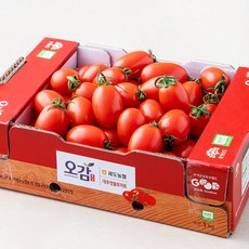 토마토 제품정보 TOP10