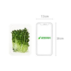 무순, 60g, 1개 - 이미지 6