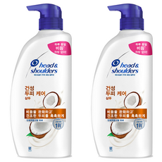 헤드앤숄더 건성 두피 케어 샴푸, 800ml, 2개