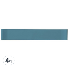앳플리 코어 루프밴드 LEVEL 4, 베릴그린, 4개