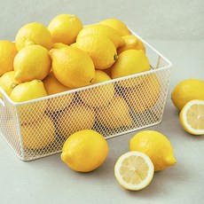 곰곰 미국산 레몬, 4kg, 1개