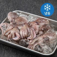 바다자리 국산 알베기 주꾸미 (냉동), 500g, 1팩