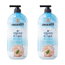 오가니스트 히말라야 핑크솔트 풍성한 거품 산뜻한 바디워시 포레스트 민트향, 900ml, 2개