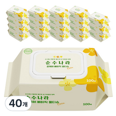 순수나라 올케어 베이직 물티슈 캡형, 40g, 100매, 40개