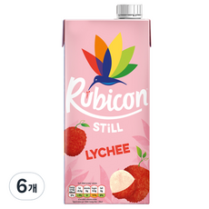 hyperjuice 루비콘 주스팩 리치 1L 6개