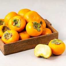 푸드베이스 산지직송 푸드베이스 부유단감, 5kg(21~23입), 1개