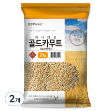 대구농산 건강한밥상 골드 카무트 호라산밀, 2kg, 2개