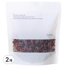 솔닙 새콤달콤 쫀득한 건크랜베리, 400g, 2개