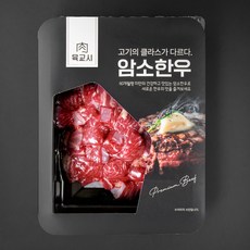 본고기 암소한우 1등급 양지세절국거리용 (냉장), 300g, 1개