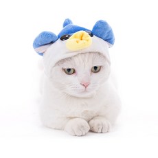 강아지귀모자