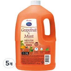 자몽 앤 민트 주방세제, 3L, 5개
