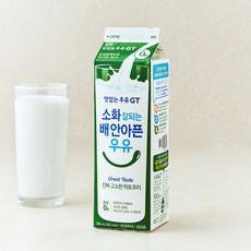 남양유업 맛있는우유GT 고소한 락토프리 900ml