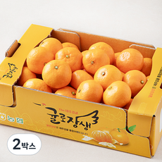 귤로장생 당도선별 10brix 감귤, 1.5kg(소과), 2박스