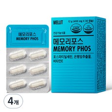 웰릿 메모리포스, 30정, 4개