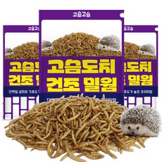 리프패럿 고슴고슴 고슴도치 건조밀웜, 150g, 3개
