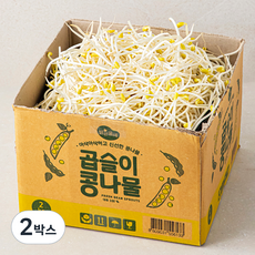 맑은물에 곱슬이 콩나물, 2박스, 2kg - 킁