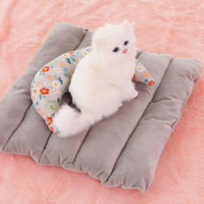 펫샵베개사이트