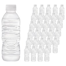 아이시스 생수 화이트캡 무라벨, 100개, 300ml