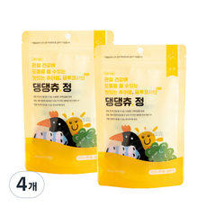 베터 반려동물 댕댕츄정 영양제, 12회분, 뼈/관절강화, 4개