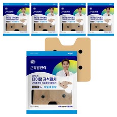 Artex Taping Magnet Patch Waist H Shape+Refill 大容量 15p 套組, 5套