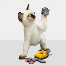 콩 3in1 고양이용 노즈워크 캣닢 쥐돌이와 치즈 장난감, 혼합색상, 1개