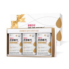 프로메가 알티지 오메가3 듀얼 세트, 60정, 3개