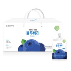 인씨네블루베리즙