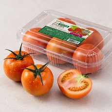 곰곰 자일리톨 완숙토마토, 1kg, 1개