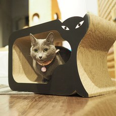 네꼬모리 스크래쳐 캣라인, 혼합 색상, 1개