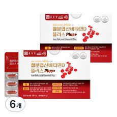 Chong Kun Dang 鍾根堂 鐵葉酸維生素D膠囊Plus, 60顆, 6盒