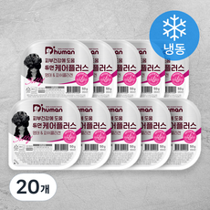 듀먼 전연령 강아지 케어플러스 명태 & 피쉬콜라겐 피부건강 자연화식사료 (냉동), 50g, 20개, 흰살생선