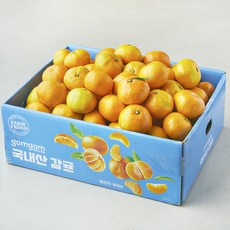 곰곰 국내산 감귤, 10kg(대과), 1개