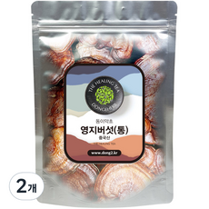 동이약초 영지버섯 통, 250g, 2개