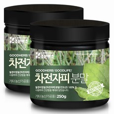 조은약초 차전자피분말, 2개, 250g