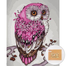 아트조이 DIY 명화 그리기 세트 40 x 50 cm 세로형, 핑크 부엉이
