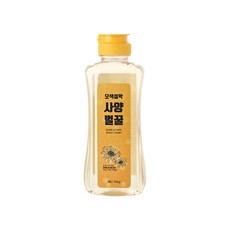 오색설악 사양벌꿀, 1개, 500g