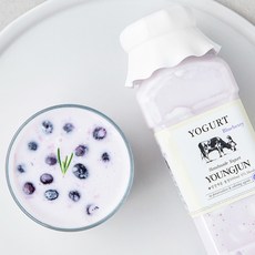 영준목장 수제 요거트 블루베리, 1개, 500ml