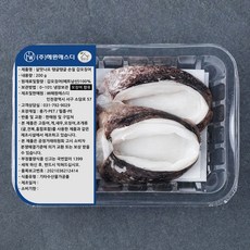 갑오징어 가격비교 및 장단점 정리 TOP10