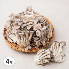 국내산 무농약 느타리버섯, 1kg, 4개