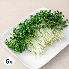 무순, 500g, 6개