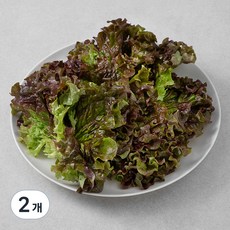 국내산 적상추, 150g, 2개