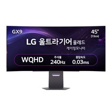 LG전자 WQHD 울트라기어 올레드 게이밍 모니터 방문설치, 113cm, 45GX900A