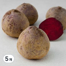 국내산 유기농 비트, 1.5kg, 5개