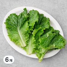 한끼 청상추, 80g, 6개