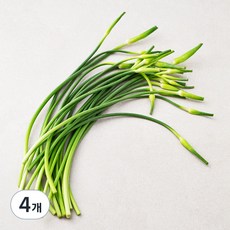 남해 마늘종, 200g, 4개 200g, 4봉