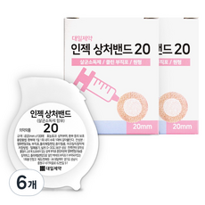 대일제약 인젝 밴드 20, 6개