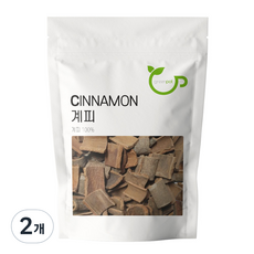 그린팟 사각 계피, 500g, 2개