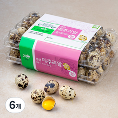 조인 생생 메추리알 56구, 504g, 6개